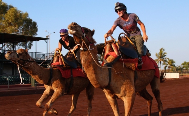 An Overview Of Australia’s Premier Camel Race