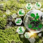 A Beginner’s Guide to Choosing the Right Carbon Management Software