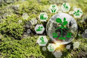 A Beginner’s Guide to Choosing the Right Carbon Management Software