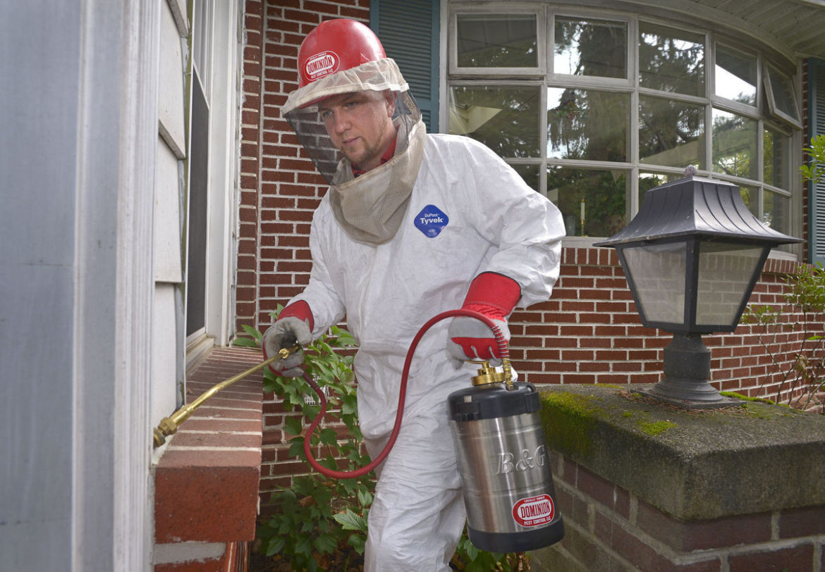 How To Choose Pest Control Solutions?