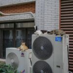 How Seasonal Heat Pump Care Saves Energy and Costs