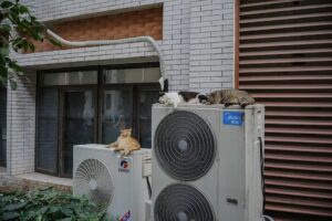 How Seasonal Heat Pump Care Saves Energy and Costs